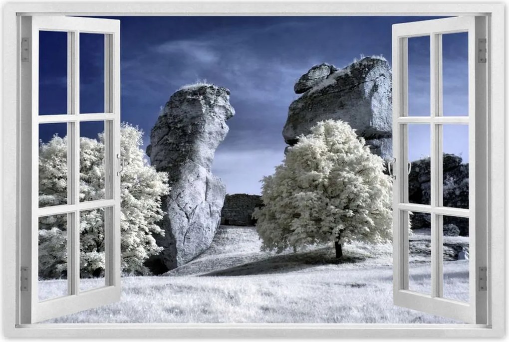 Poszterek 120x80 Tájkép Infravörös fotó