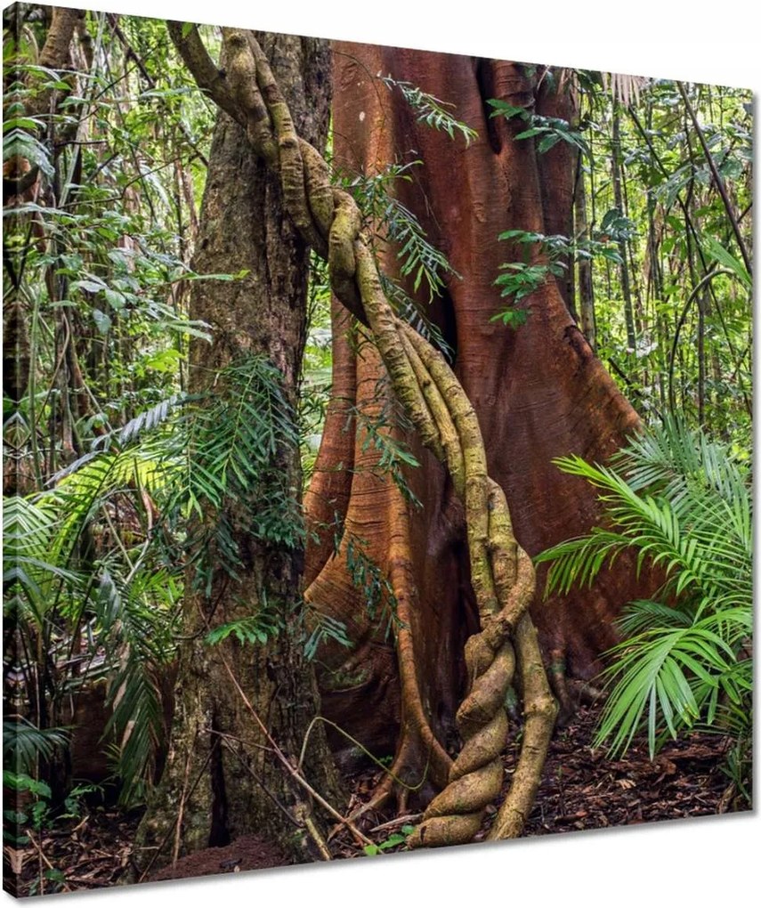 Vászonkép 50x50 Tájkép Látvány