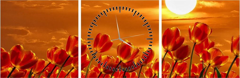 Kép egy virágzó mező tulipánokkal (órával) (90x30 cm)