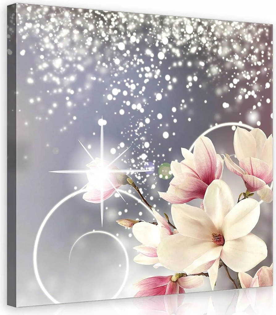 Vászonkép 40x40 Magnólia virágok tavasz finomság ragyogás absztrakt dekoráció