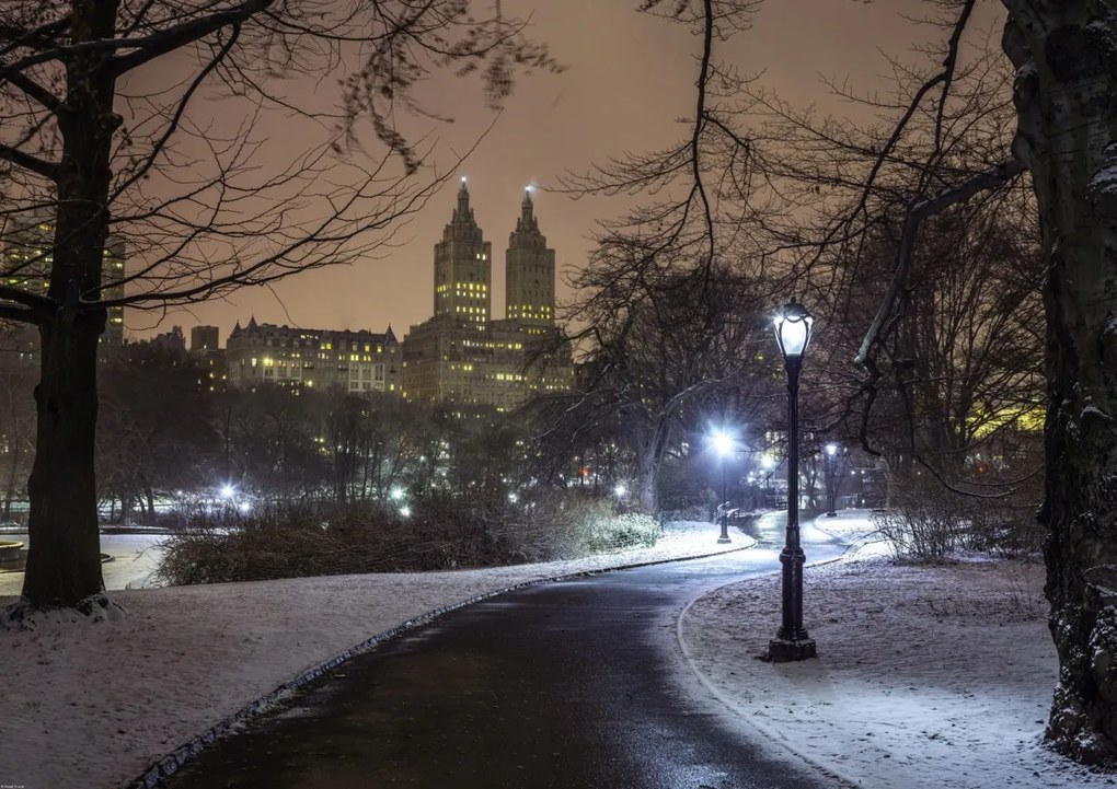 Poszter 84,1x59,4cm Ösvény a központi parkon át, Assaf Frank