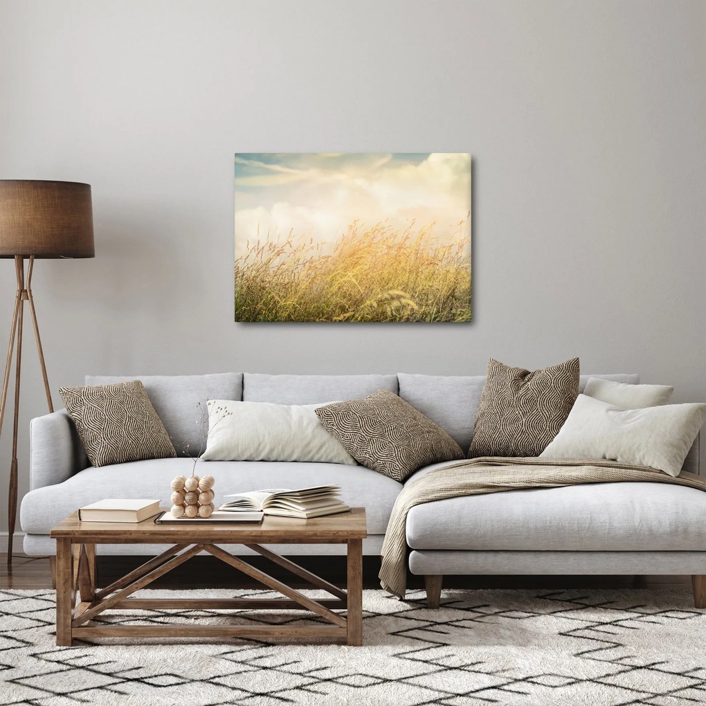 Kép - Mező ősszel (70x50 cm)