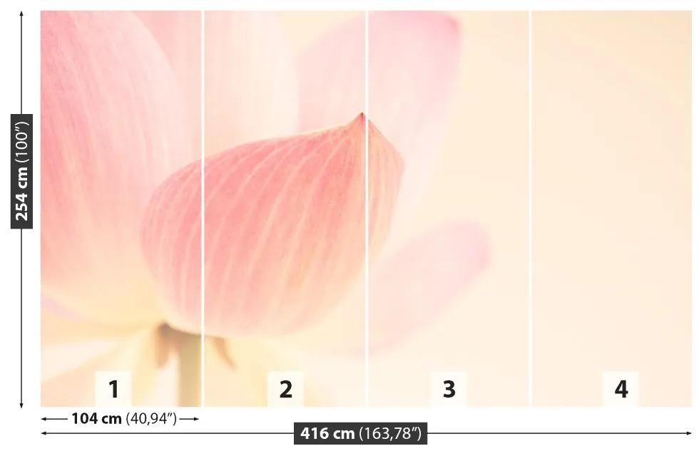 Fotótapéta rózsaszín lótusz 104x70 cm
