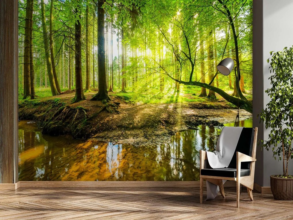 Gario Fotótapéta Patak az erdőben napfelkeltekor Anyag: Vlies, Méret: 400 x 280 cm