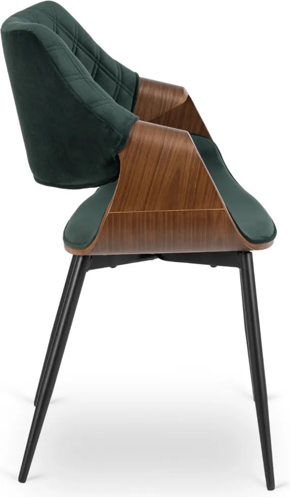 DAKOTA bársony szék zöld / dió színben