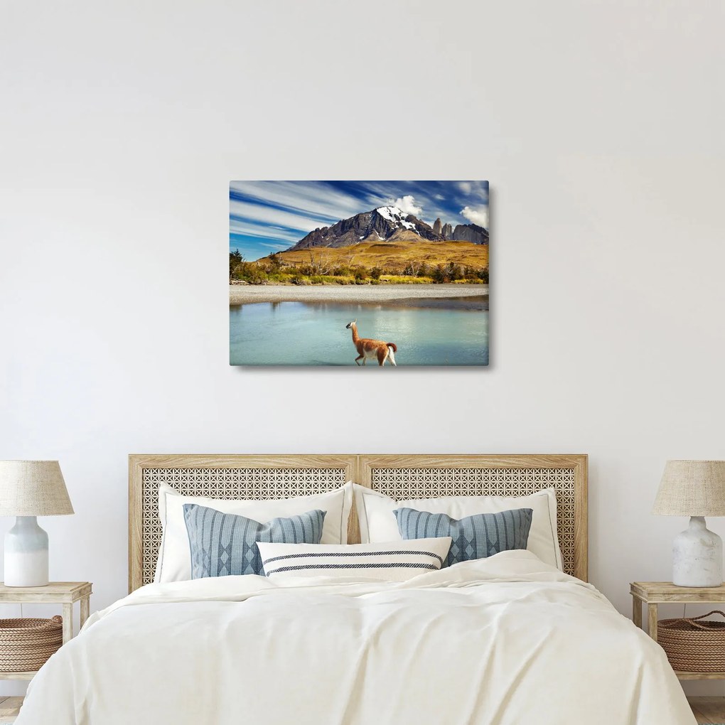 Kép - Torres del Paine Nemzeti Park (70x50 cm)