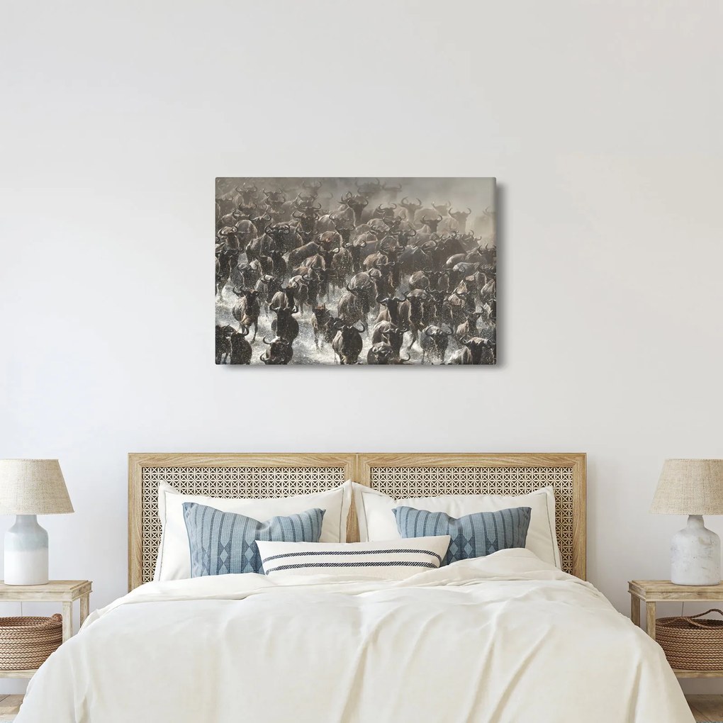 Kép - Gnúcsorda (90x60 cm)