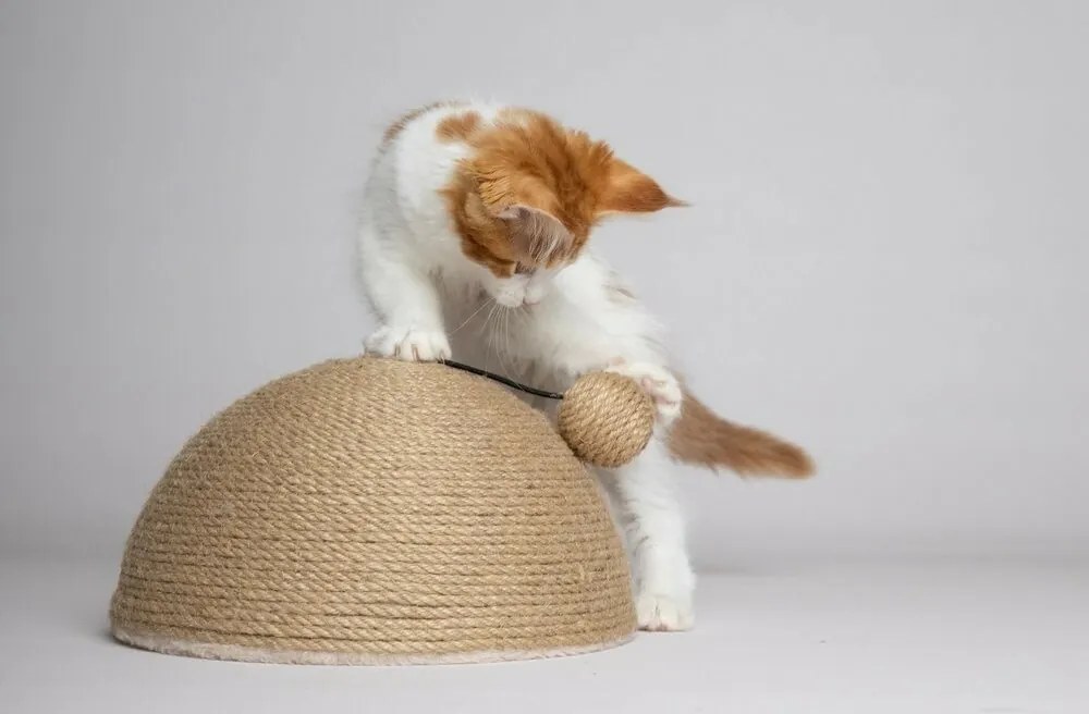 Flamingo Veda Kiscsapda macskáknak, 26 x 14 x 26 cm