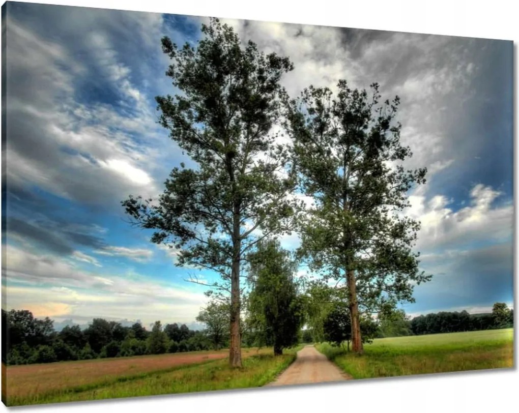 Festmények 100x70 Vidéki út