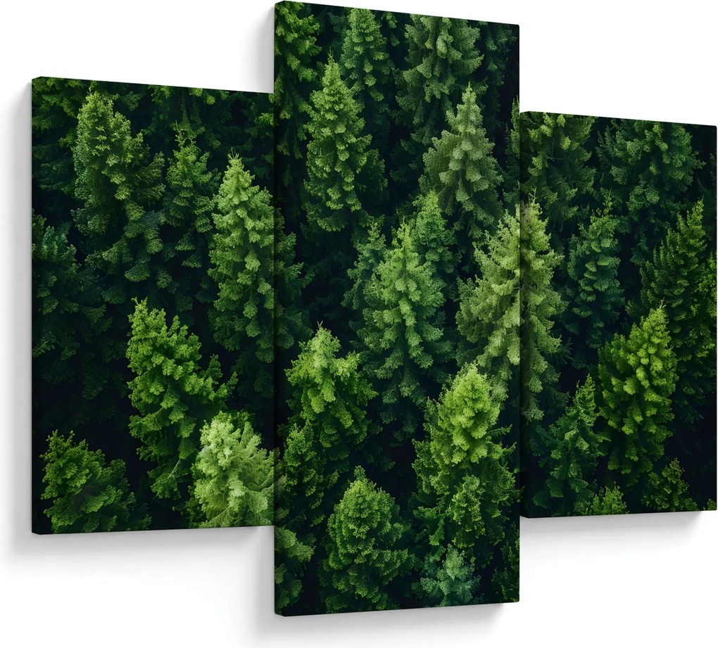 Kép - Forest (90x60 cm)