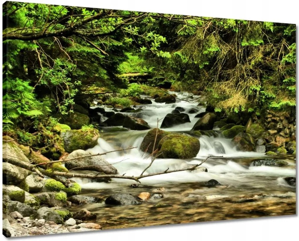 Vászonkép 70x50 Patak a hegyekben