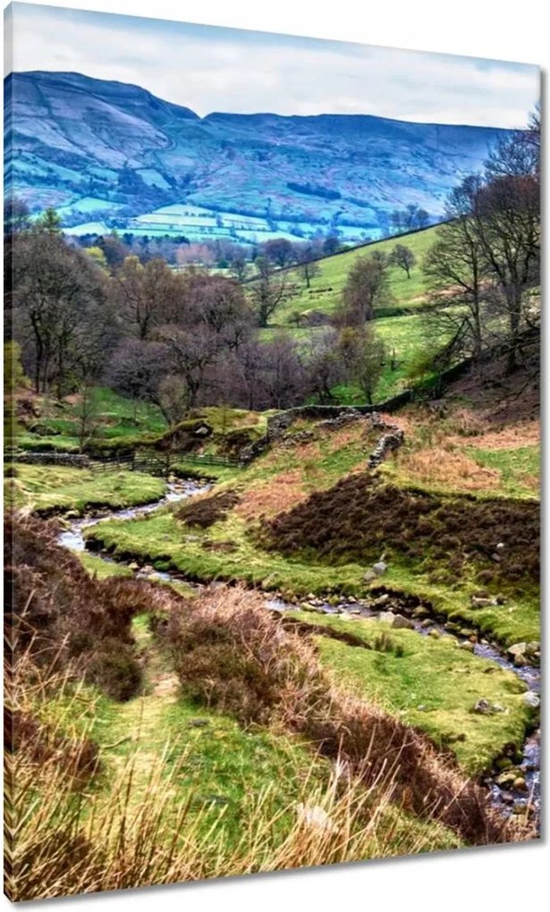 Vászonkép 70x100 Patak a hegyekben