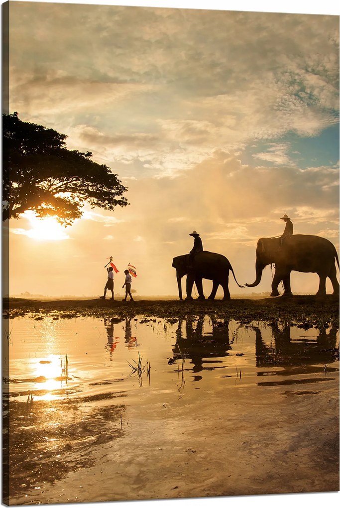 Vászonkép Emberek az elefántokon Naplemente Afrika Szavanna 80x120 cm