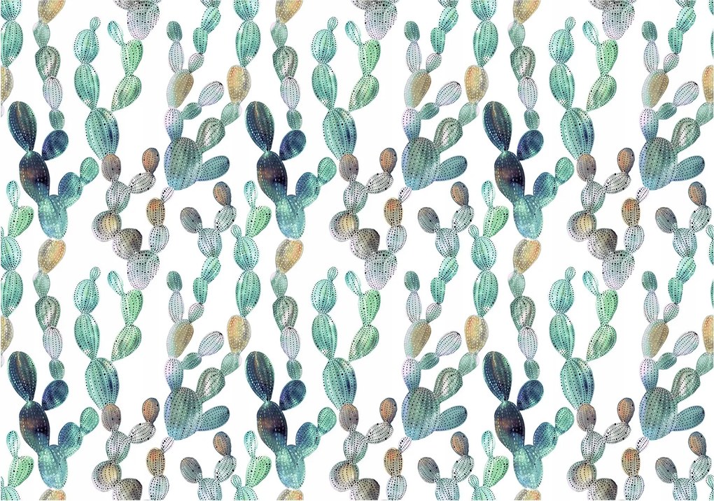 Fotótapéta Kaktuszok Formák színek és árnyalatok zöld fehér 350x250 +ragasztó