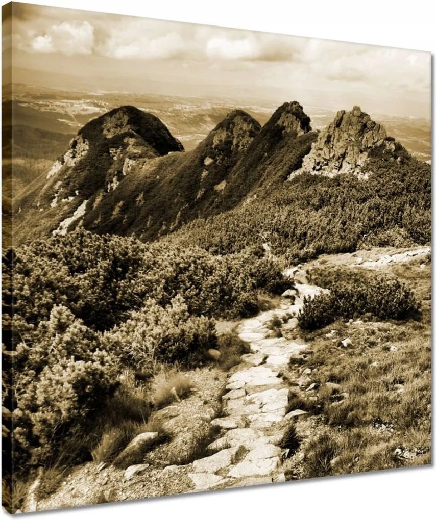 Vászonkép 40x40 Tátra Lengyel hegyek Kilátás