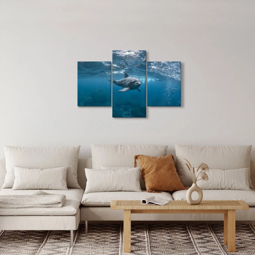 Kép - Delfin a felszín alatt (90x60 cm)