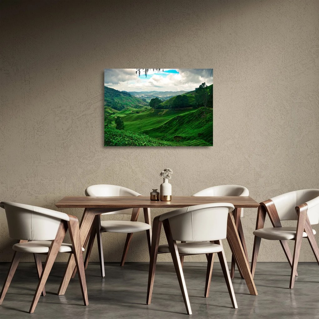 Kép - Teaültetvények Malajziában (üvegen) (70x50 cm)