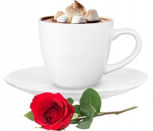 Porcelán Csésze Csészealjjal 230ML Kávé Tea Gyógynövények Ajándék Fine