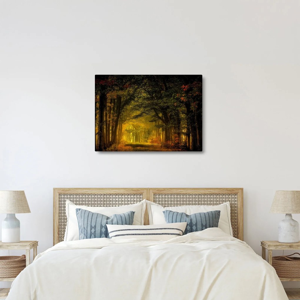 Erdő képe (70x50 cm)
