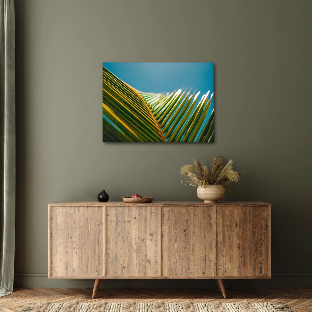 Kép - A pálmalevél részlete (70x50 cm)