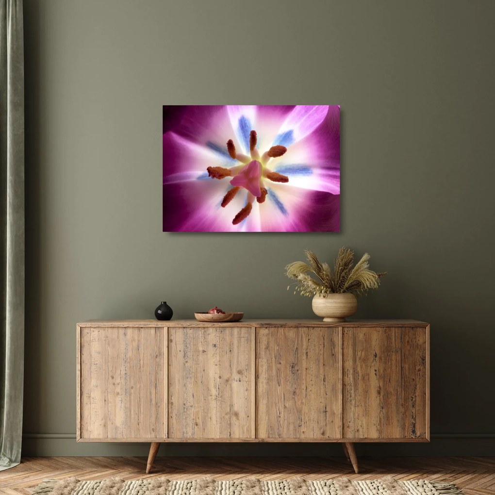 Kép - Tulipán virág részletesen (üvegen) (70x50 cm)