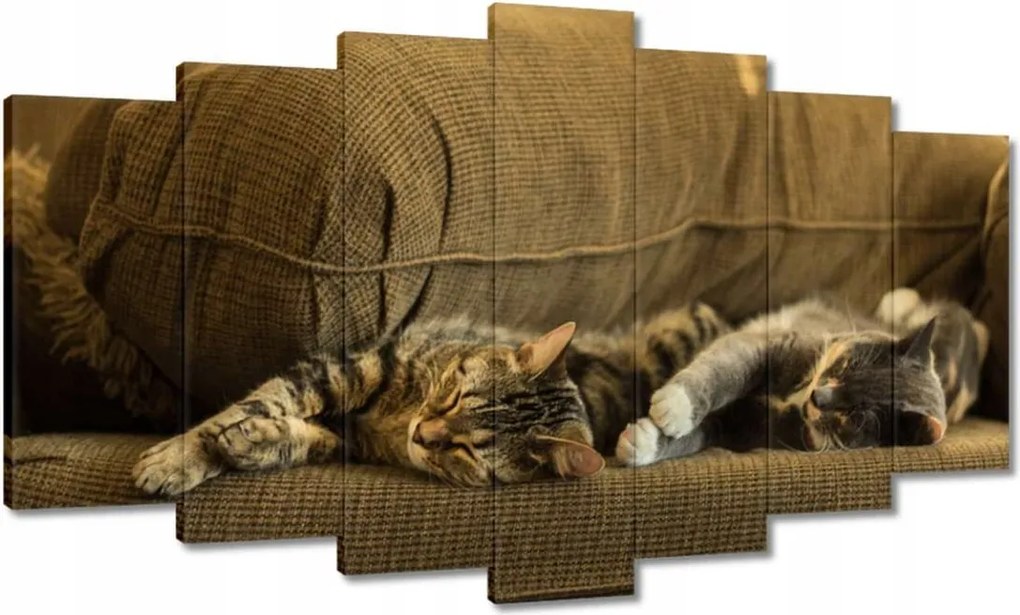 Képek 140x80 Cica Cicák