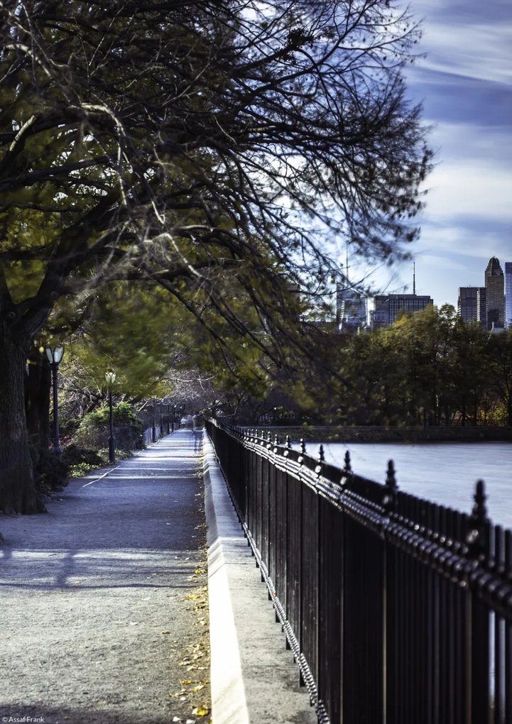 Poszter 21x29,7cm New York sétány, Assaf Frank