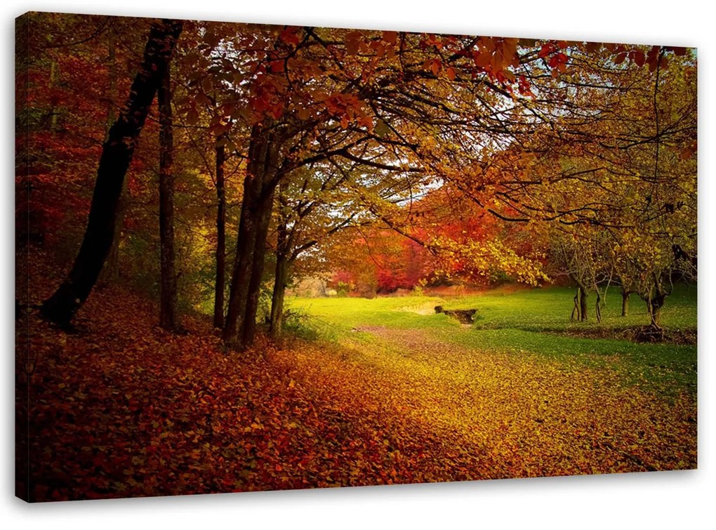 Gario Vászonkép Zöld erdei tisztás Méret: 120 x 80 cm
