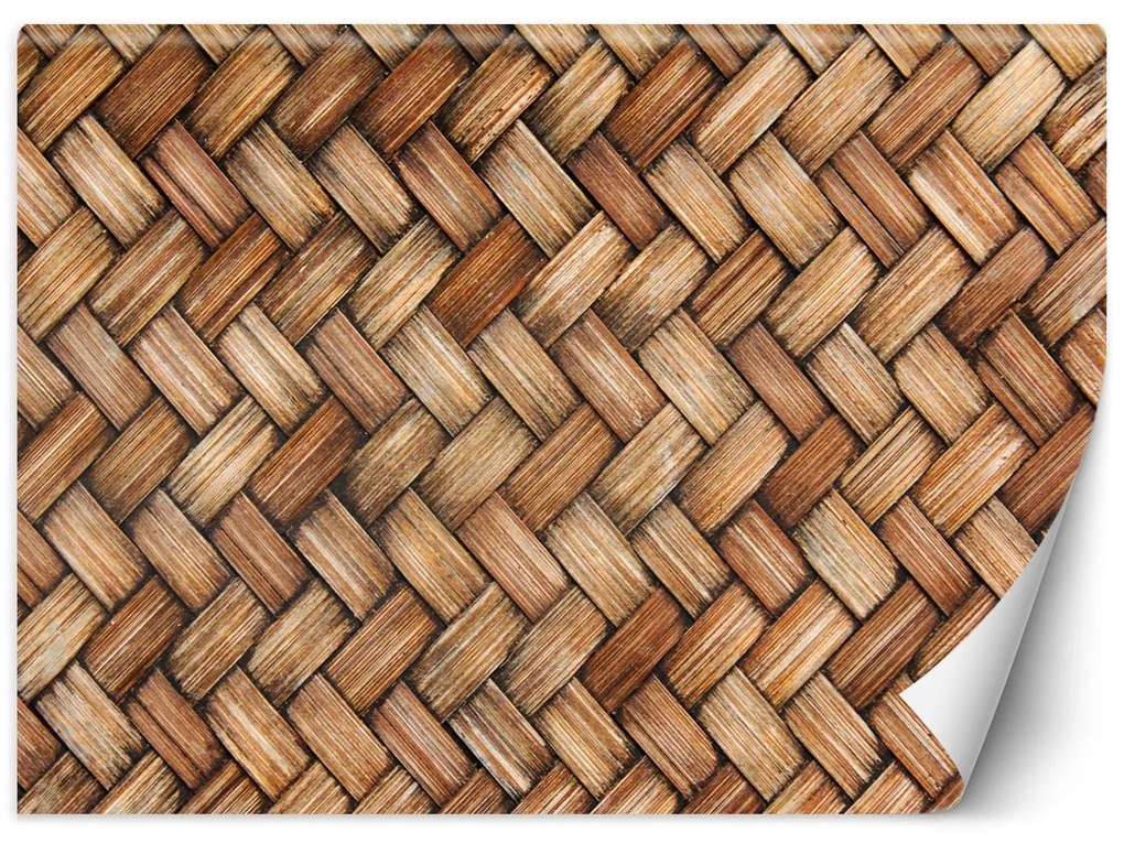Gario Fotótapéta Fonott fonott fonott Anyag: Vlies, Méret: 250 x 175 cm