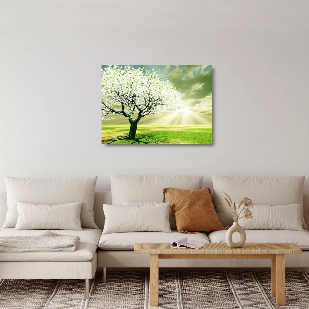 Fa képe a réten (üvegen) (70x50 cm)
