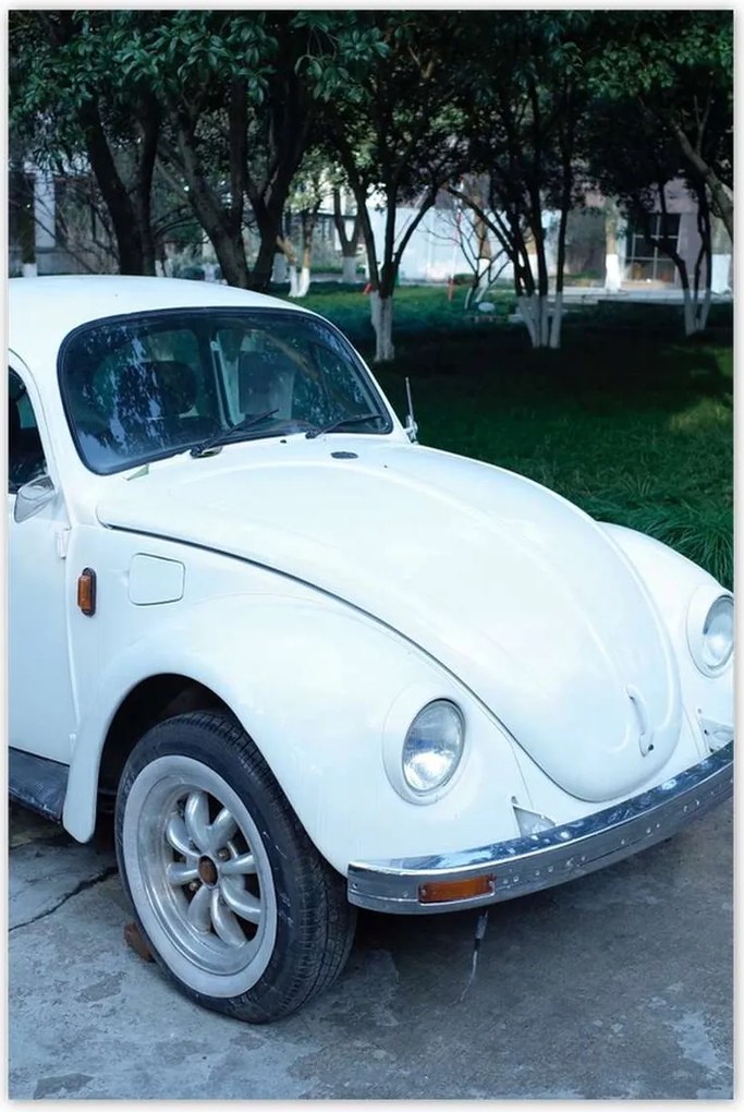 Poszterek 80x120 Bogár Volkswagen Vw Auto