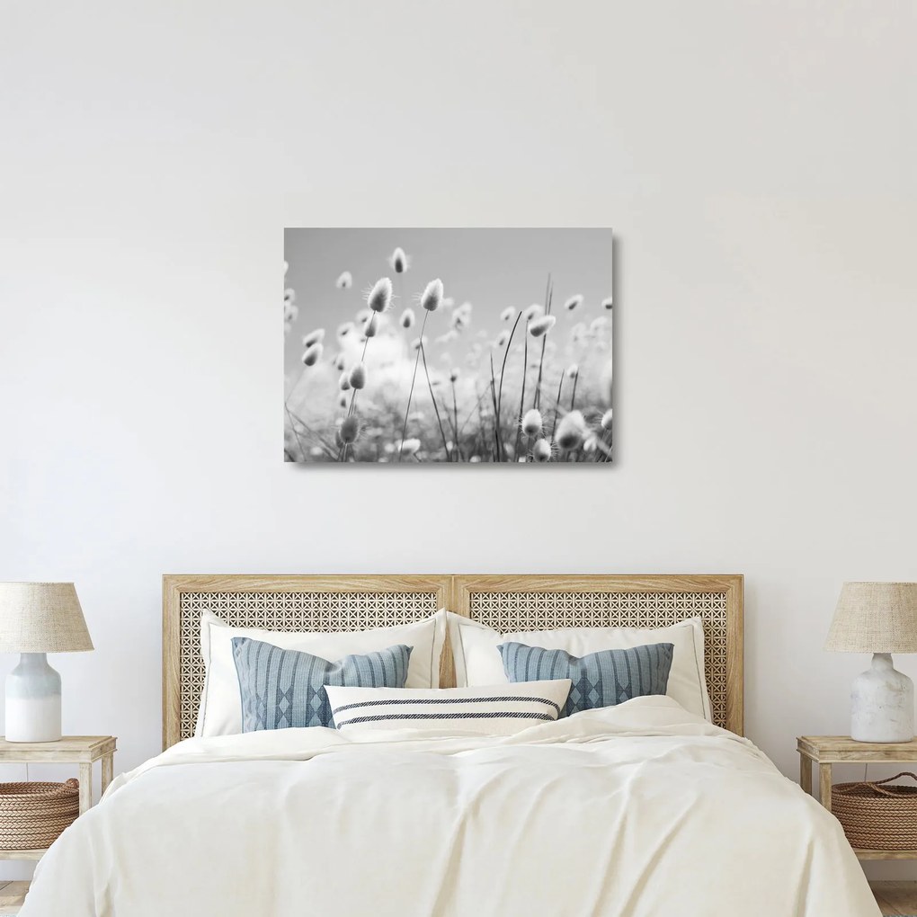 Üveg kép - Boho nyuszi farok fű (70x50 cm)