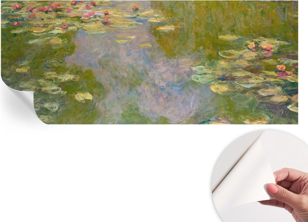 Öntapadós Dekoratív Fotótapéta Hálószobába Vízi liliomok 250x104 cm