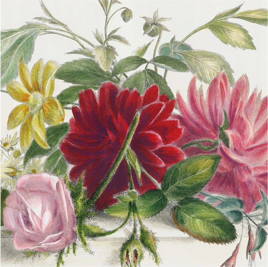 Fotótapéta Flizelin Dekoratív tapéta Virágos csokor 250x250 Ragasztó