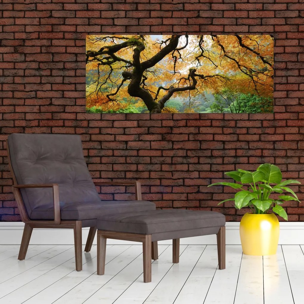 Egy sárga japán juhar képe, Portland, Oregon (120x50 cm)