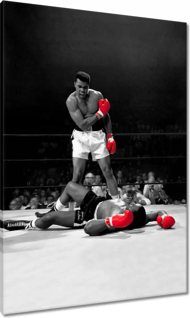 Vászonkép 70x100 Muhammad Ali Boxer