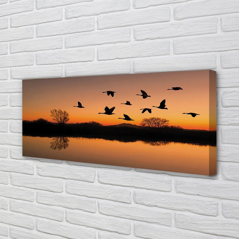 Canvas képek Repülő madarak naplemente 120x60 cm