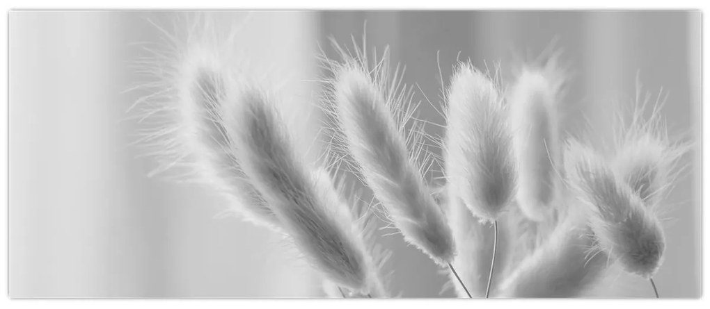 Kép - Nyuszi farok fű (120x50 cm)