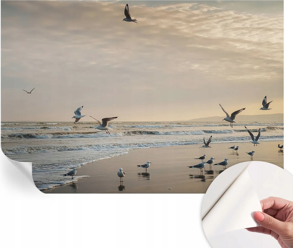 Modern öntapadós fali fotótapéta Tengerparti nyugalom 152x104 cm