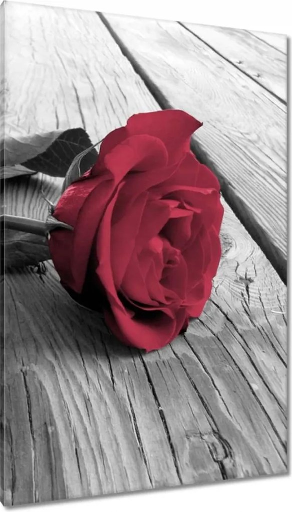 Vászonkép 80x120 Rózsa a mólón
