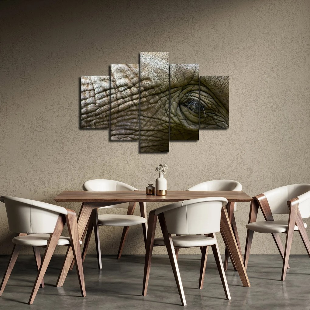 Kép - Közelkép az öreg elefánt szeméről (150x105 cm)