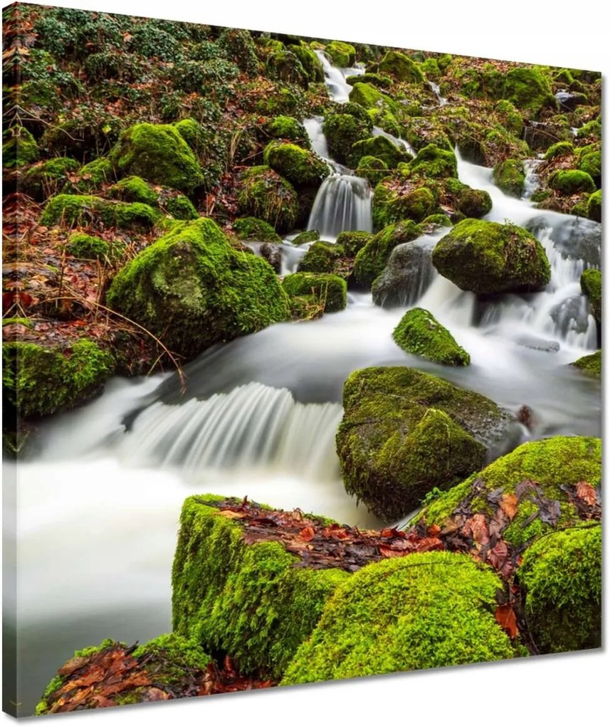 Vászonkép 40x40 Hegyi tájkép patakkal Patak a hegyekben