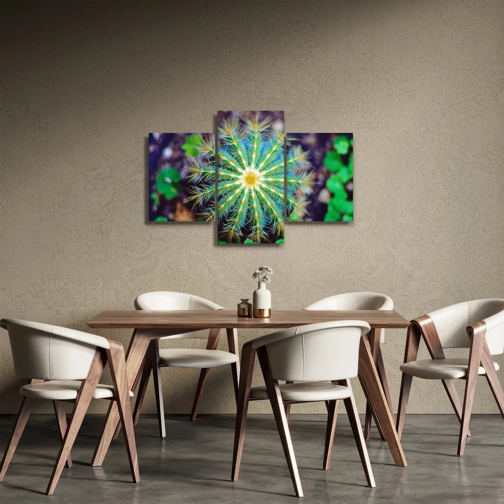 Kaktusz kép (90x60 cm)