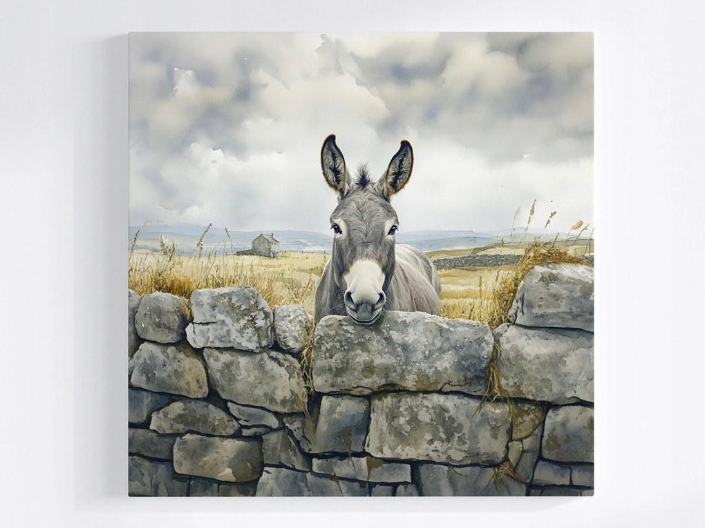 Poszter Tájkép Írország Fal Szamár Természet 40x40