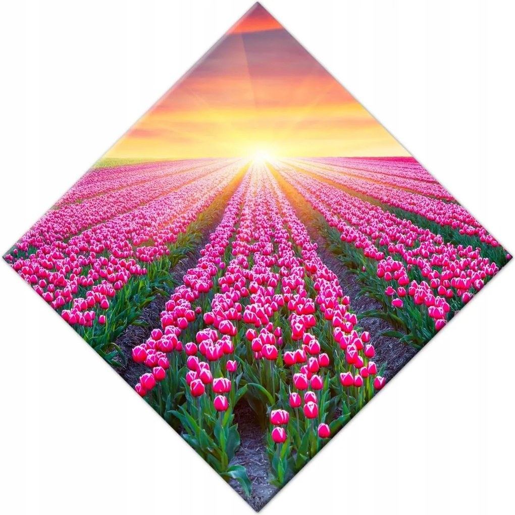 Vászonkép 56x56 Tulipánok tengere Virágok