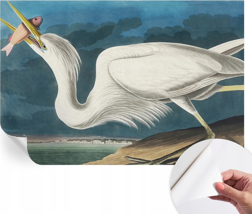 Öntapadós Dekoratív Fotótapéta Hálószobába Madár és hal 104x70 cm