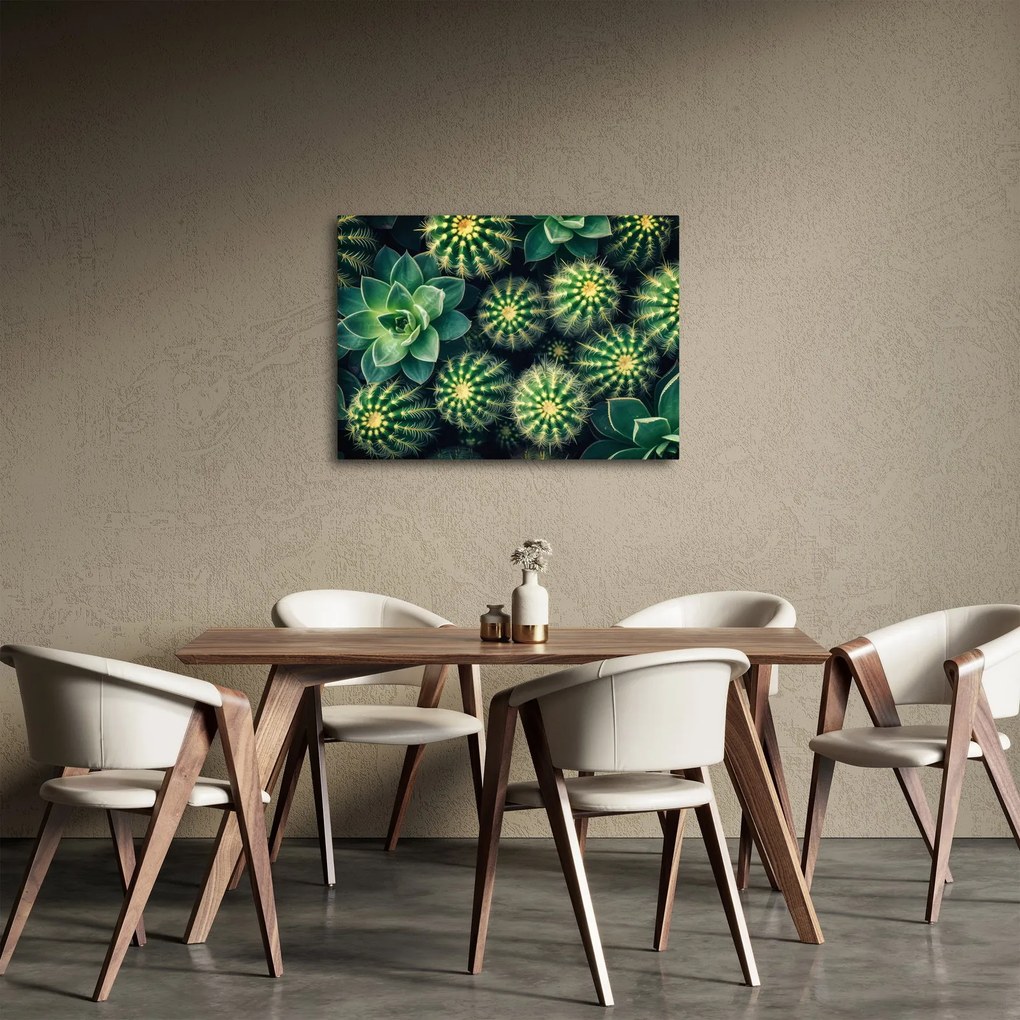 Kép - Kaktuszok (70x50 cm)