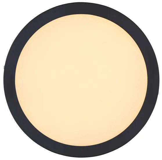 Globo 12374-24R - LED Mennyezeti lámpa DINO LED/22W/230V