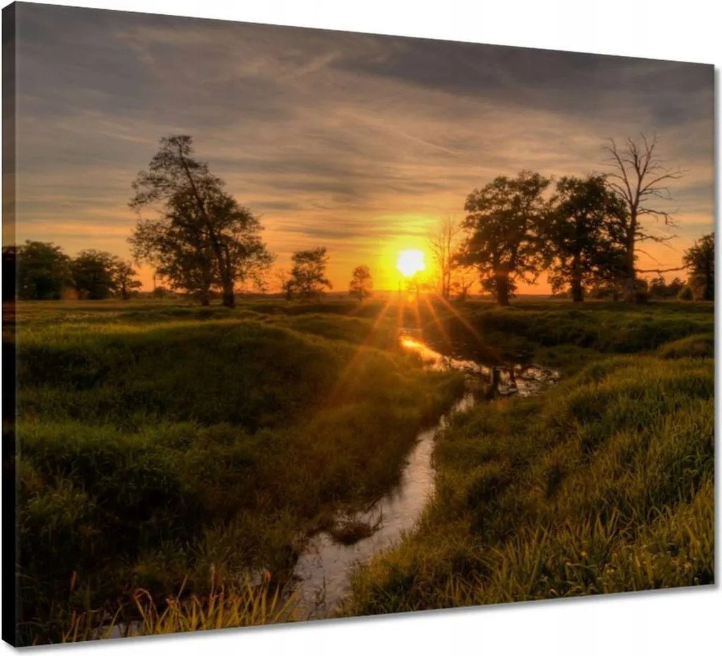 Vászonkép 50x40 Lenyugvó nap Rogalin