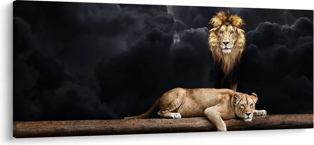 Kép - oroszlán és a nőstény oroszlán a felhőkben (120x50 cm)
